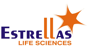 Top B-Complex Syrup Manufacturers in India